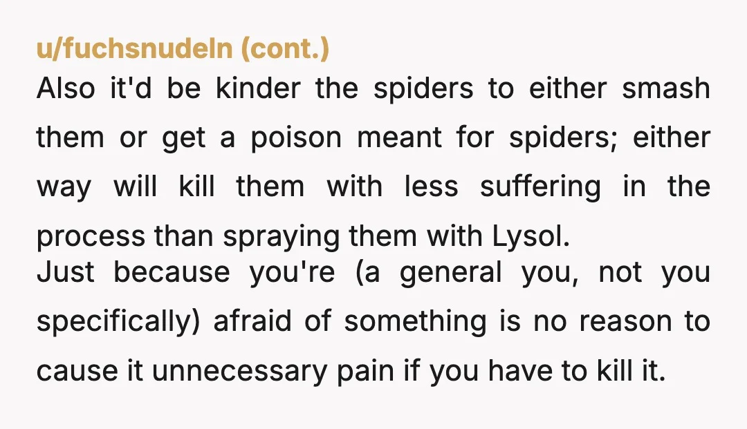 u/BargerianJade
NTA
she's not afraid of spiders, she's afraid of not getting enough attention