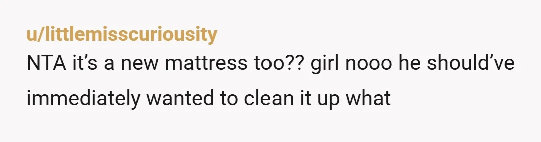 u/littlemisscuriousity
NTA it’s a new mattress too?? girl nooo he should’ve immediately wanted to clean it up what