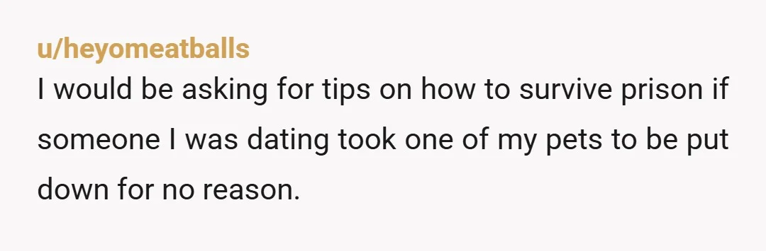 u/heyomeatballs
I would be asking for tips on how to survive prison if someone I was dating took one of my pets to be put down for no reason.