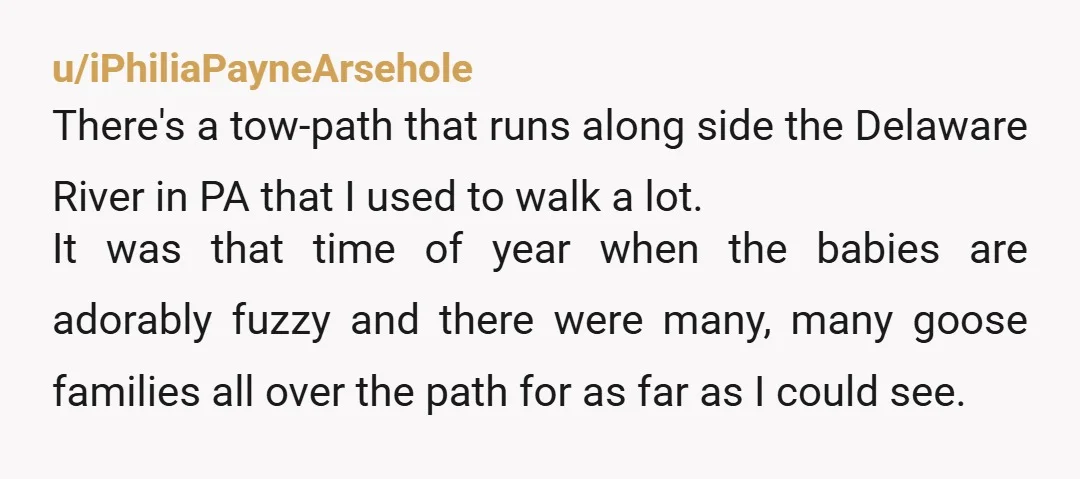 u/iPhiliaPayneArsehole There's a tow-path that runs along side the Delaware River in PA that I used to walk a lot. It was that time of year when the babies are...