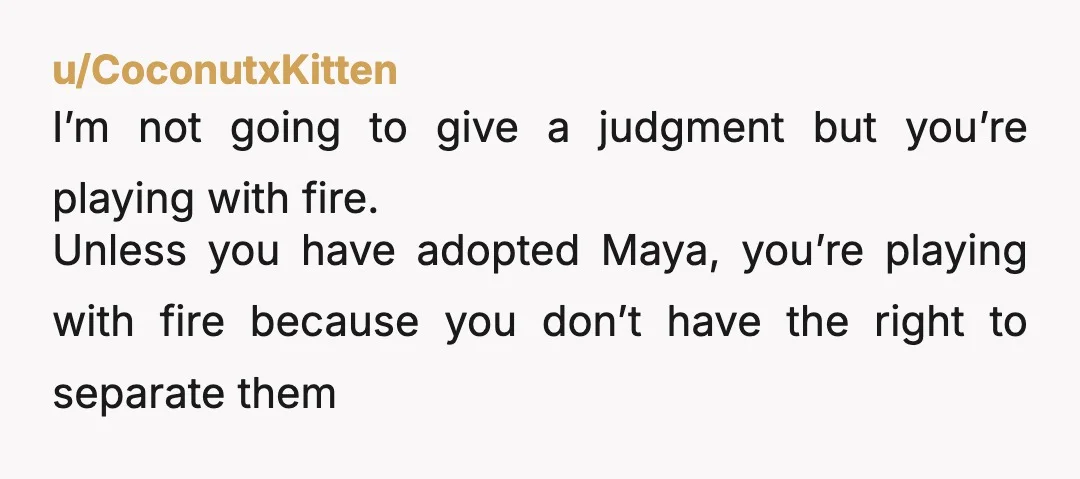 u/amandner I think if you were matter of fact about her dishonesty that's fine, but maybe even saying to people that it wouldn't be discussed at a child's party would...