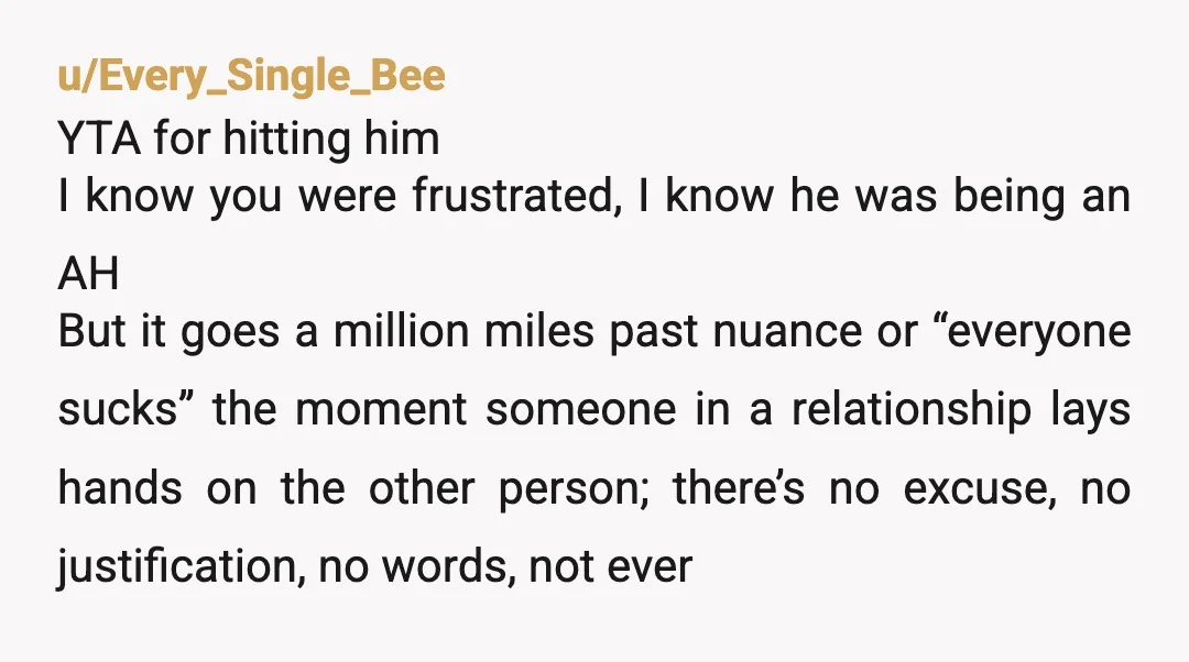 u/Every_Single_Bee YTA for hitting him I know you were frustrated, I know he was being an AH But it goes a million miles past nuance or “everyone sucks” the moment...