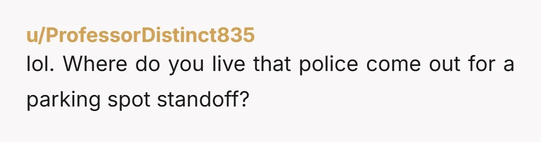 u/ProfessorDistinct835 lol. Where do you live that police come out for a parking spot standoff?