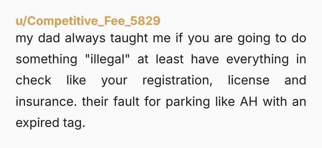 u/WetBandits1990 They parked illegally, you did the normal thing and called parking enforcement. The fact that you dealt with them blocking your driveway after midnight, called parking enforcement hours later...