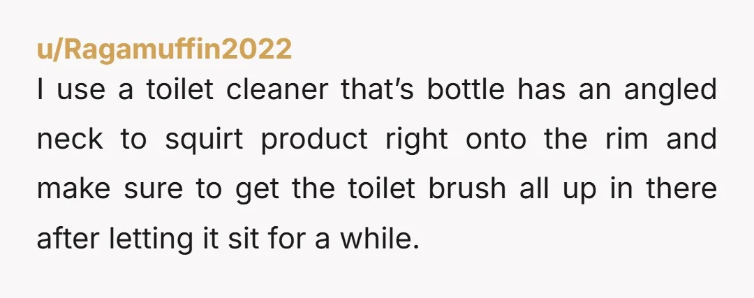 u/Appropriate_Ly
I am terrified that some ppl have never cleaned their toilets properly. What do you mean?????