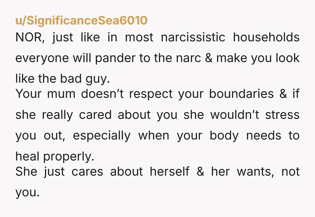 u/SignificanceSea6010 NOR, just like in most narcissistic households everyone will pander to the narc & make you look like the bad guy. Your mum doesn’t respect your boundaries & if...