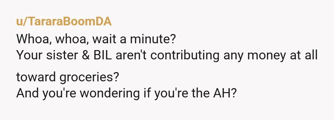 u/TararaBoomDA
Whoa, whoa, wait a minute?
Your sister & BIL aren't contributing any money at all toward groceries?
And you're wondering if you're the AH?