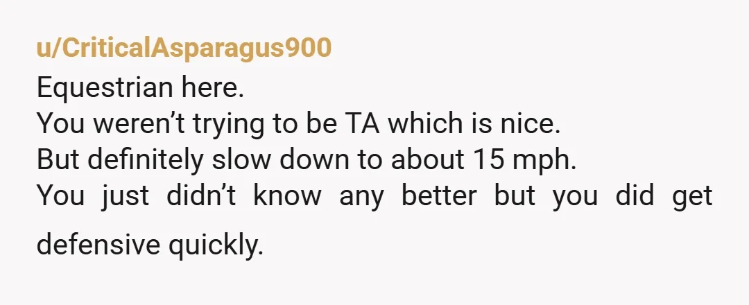 u/chaosisapony NAH, you slowed down to what you thought was acceptable. It just is still way too fast around horses. 10 or 15 mph until you're past the horses would...
