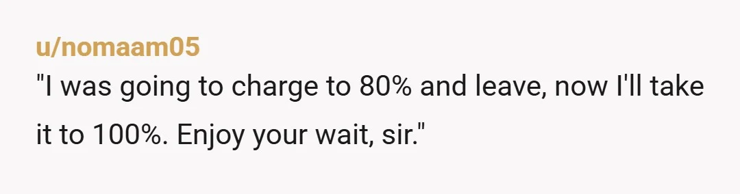 u/nomaam05
"I was going to charge to 80% and leave, now I'll take it to 100%. Enjoy your wait, sir."