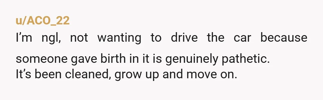 u/ACO_22
I’m ngl, not wanting to drive the car because someone gave birth in it is genuinely pathetic.
It’s been cleaned, grow up and move on.