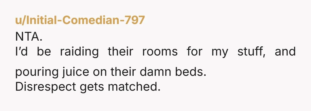 u/Initial-Comedian-797 NTA. I’d be raiding their rooms for my stuff, and pouring juice on their damn beds. Disrespect gets matched.