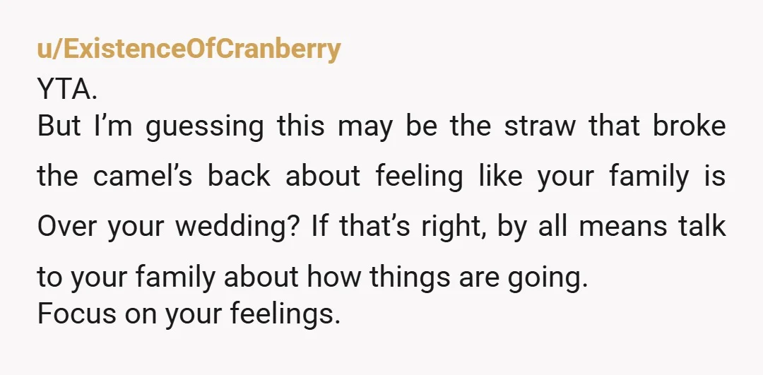 u/lovepeacefakepiano One of those kids is in school. They will basically lose the return week to jet lag. NTA for having a destination wedding but YTA for expecting everyone to...