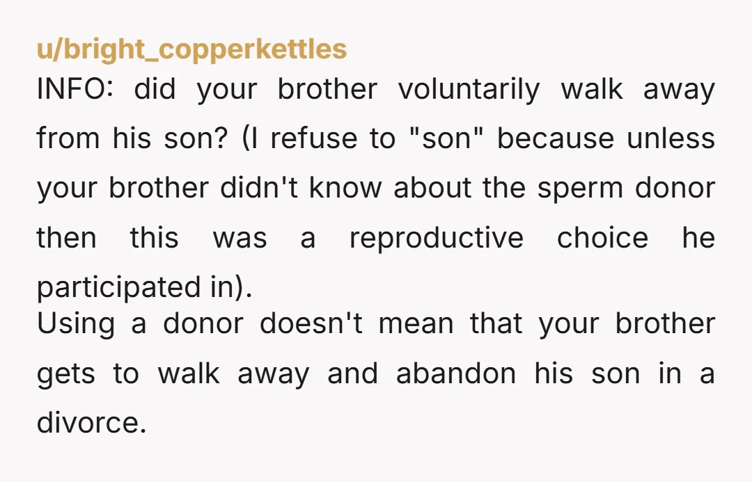 u/sheramom4 YTA. Your brother is also the AH. He is the child's father legally and emotionally. The child IS your nephew. You are okay with your brother just dropping his...