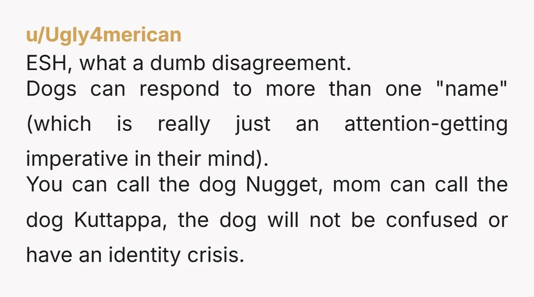 u/Opal_Pie YTA. I'm guessing your parents paid the adoption fees, and will be the puppy's primary caretakers. If so, they get to name him. You can give him a nickname...
