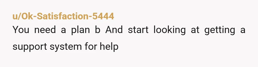u/Ok-Satisfaction-5444
You need a plan b   And start looking at getting a support system for help