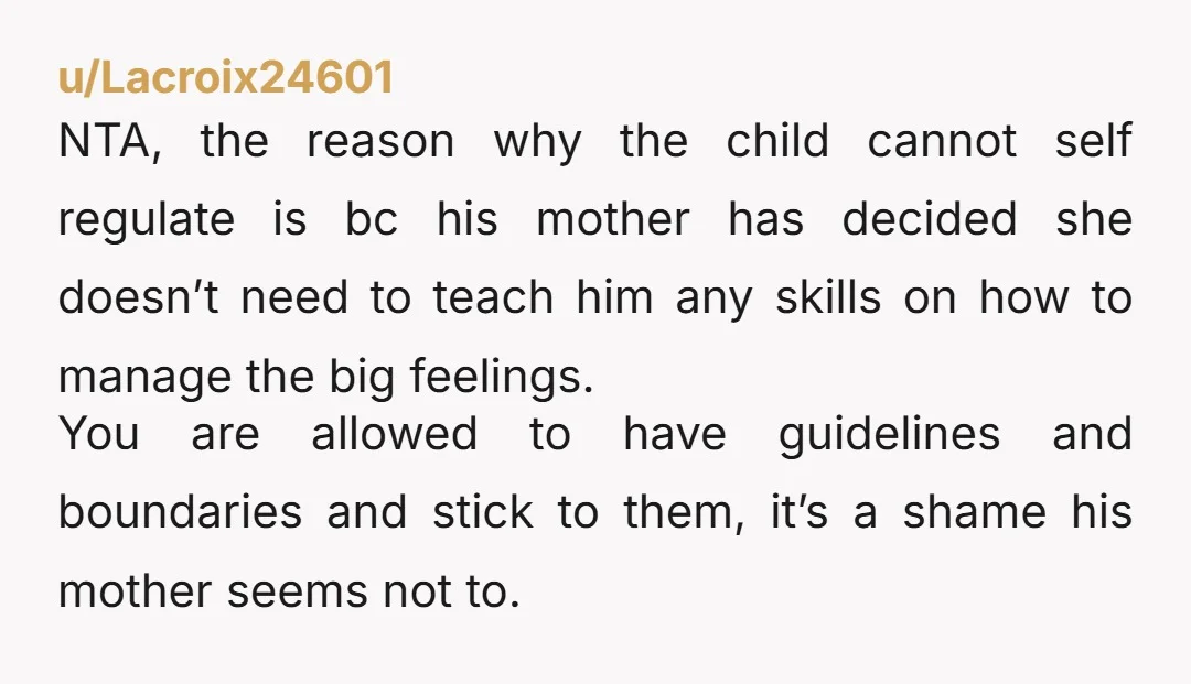 u/Lacroix24601 NTA, the reason why the child cannot self regulate is bc his mother has decided she doesn’t need to teach him any skills on how to manage the big...