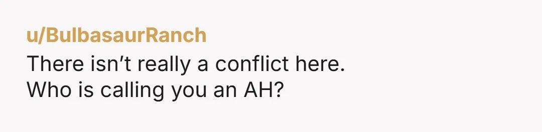 u/BulbasaurRanch There isn’t really a conflict here. Who is calling you an AH?