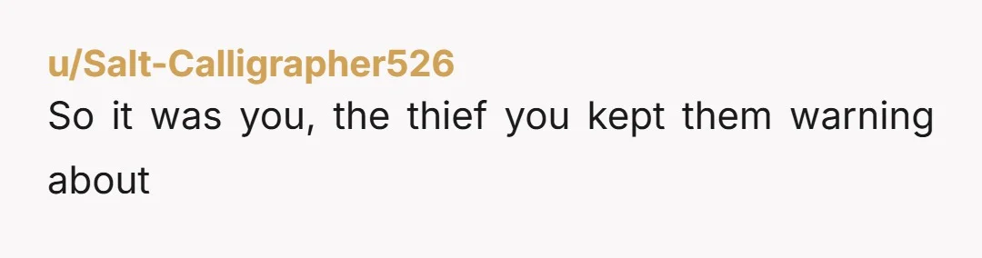 u/Salt-Calligrapher526 So it was you, the thief you kept them warning about