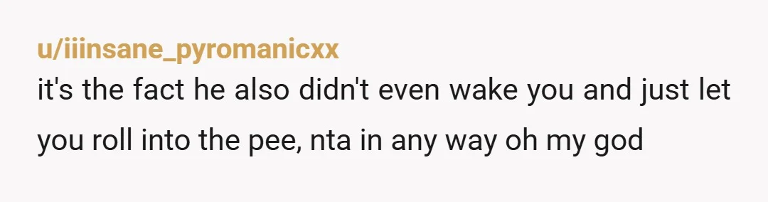 u/iiinsane_pyromanicxx
it's the fact he also didn't even wake you and just let you roll into the pee, nta in any way oh my god