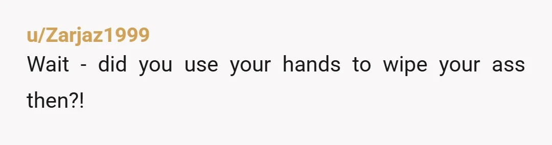 u/Zarjaz1999
Wait - did you use your hands to wipe your ass then?!