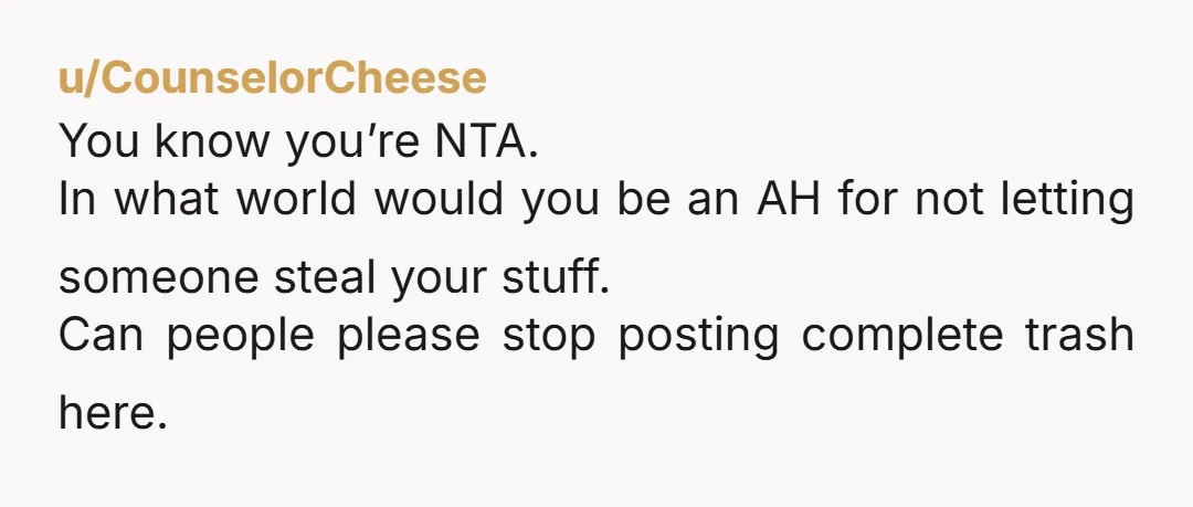 u/CounselorCheese
You know you’re NTA.
In what world would you be an AH for not letting someone steal your stuff.
Can people please stop posting complete trash here.