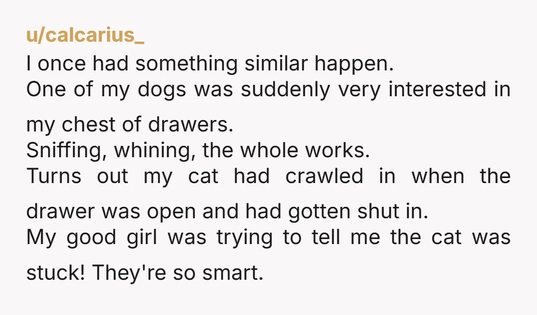 u/calcarius_ I once had something similar happen. One of my dogs was suddenly very interested in my chest of drawers. Sniffing, whining, the whole works. Turns out my cat had...