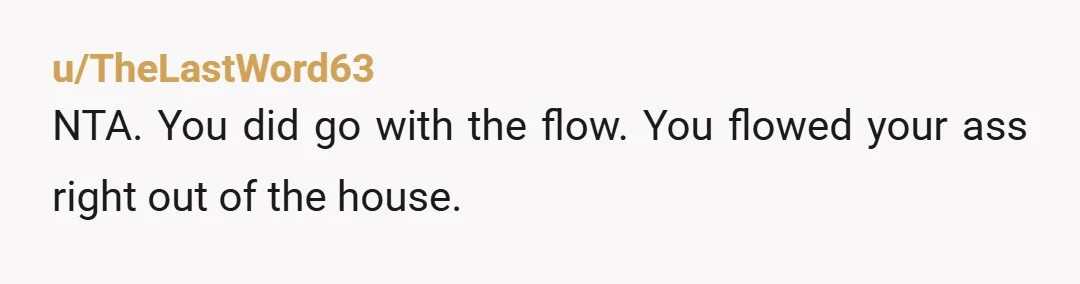 u/TheLastWord63 NTA. You did go with the flow. You flowed your ass right out of the house.