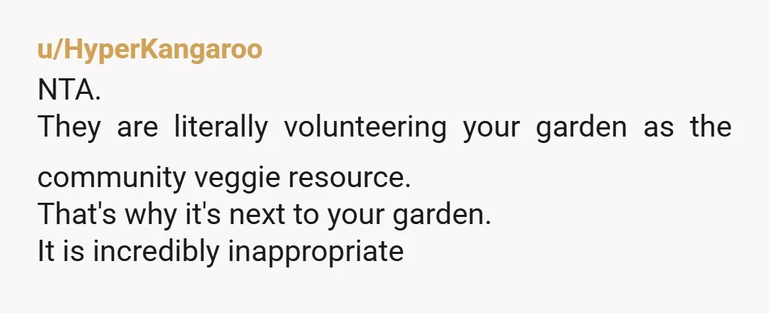 u/HyperKangaroo
NTA.
They are literally volunteering your garden as the community veggie resource.
That's why it's next to your garden.
It is incredibly inappropriate