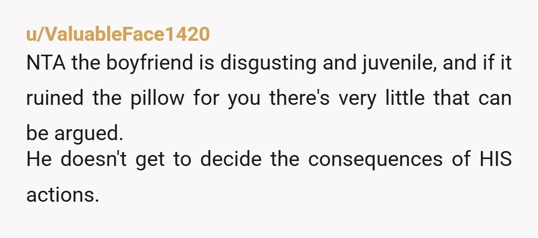 u/ValuableFace1420 NTA the boyfriend is disgusting and juvenile, and if it ruined the pillow for you there's very little that can be argued. He doesn't get to decide the consequences...