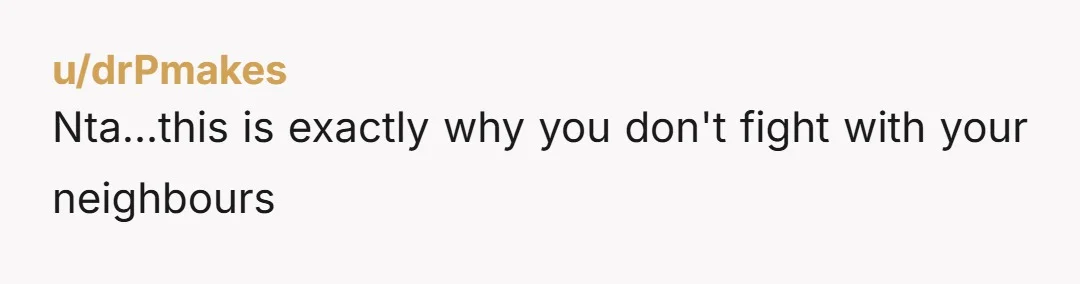 u/drPmakes
Nta...this is exactly why you don't fight with your neighbours