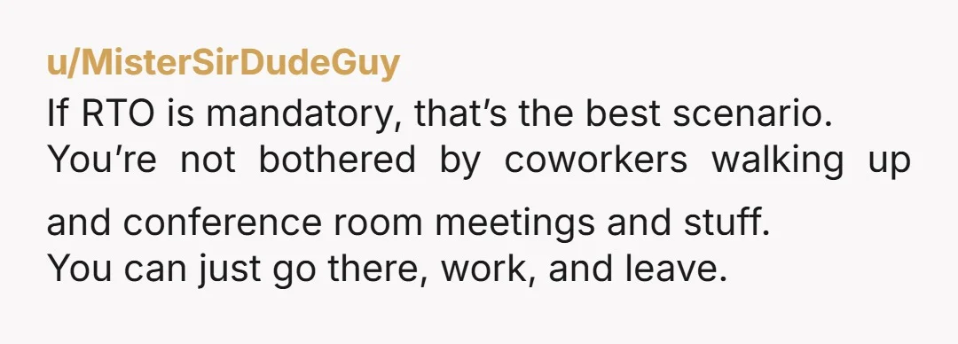 u/MisterSirDudeGuy
If RTO is mandatory, that’s the best scenario.
You’re not bothered by coworkers walking up and conference room meetings and stuff.
You can just go there, work, and leave.