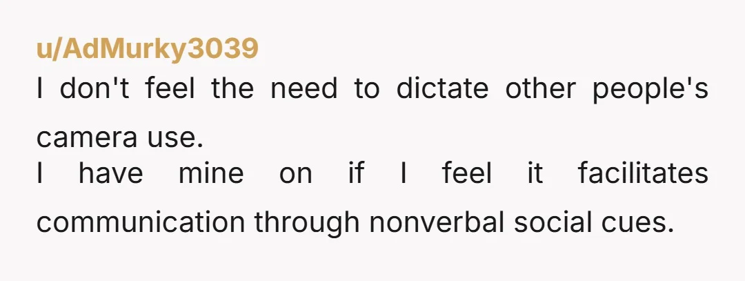 u/AdMurky3039
I don't feel the need to dictate other people's camera use.
I have mine on if I feel it facilitates communication through nonverbal social cues.