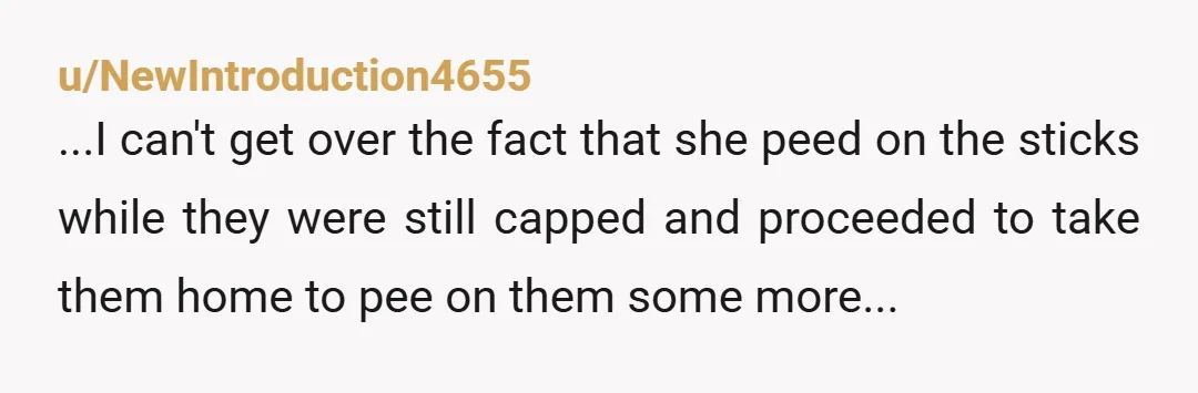 u/NewIntroduction4655 ...I can't get over the fact that she peed on the sticks while they were still capped and proceeded to take them home to pee on them some more...