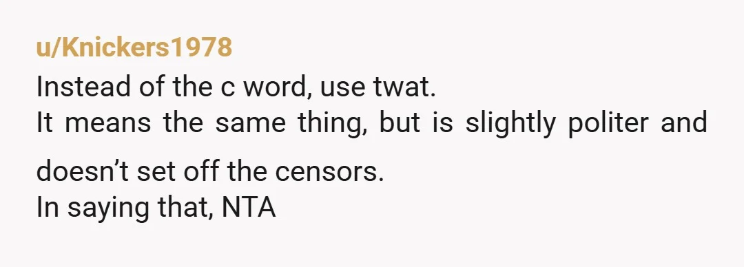u/Knickers1978
Instead of the c word, use twat.
It means the same thing, but is slightly politer and doesn’t set off the censors.
In saying that, NTA