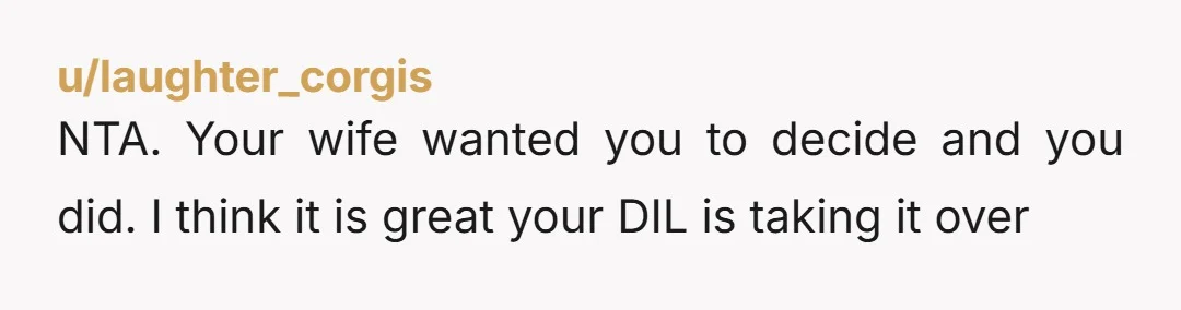 u/laughter_corgis NTA. Your wife wanted you to decide and you did. I think it is great your DIL is taking it over