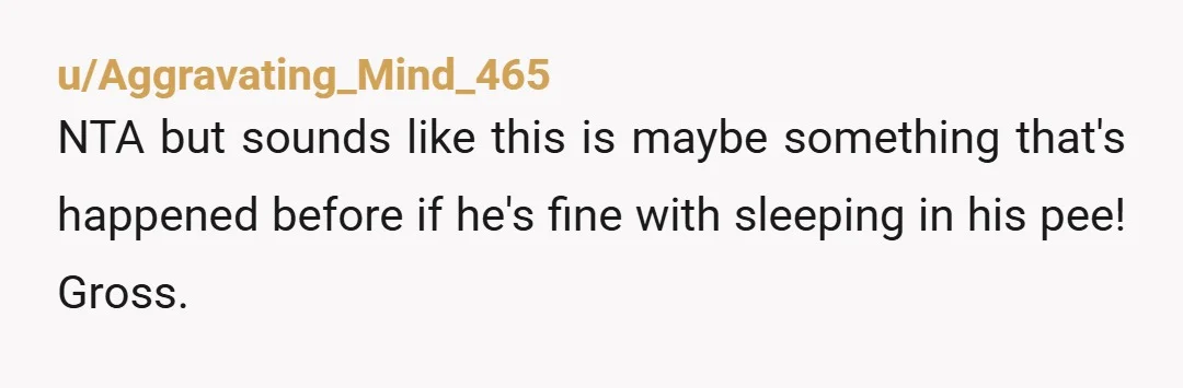 u/Aggravating_Mind_465
NTA but sounds like this is maybe something that's happened before if he's fine with sleeping in his pee! Gross.