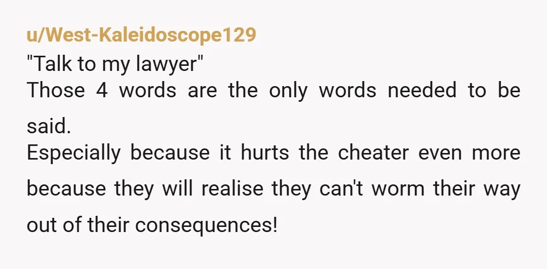 u/West-Kaleidoscope129 "Talk to my lawyer" Those 4 words are the only words needed to be said. Especially because it hurts the cheater even more because they will realise they can't...