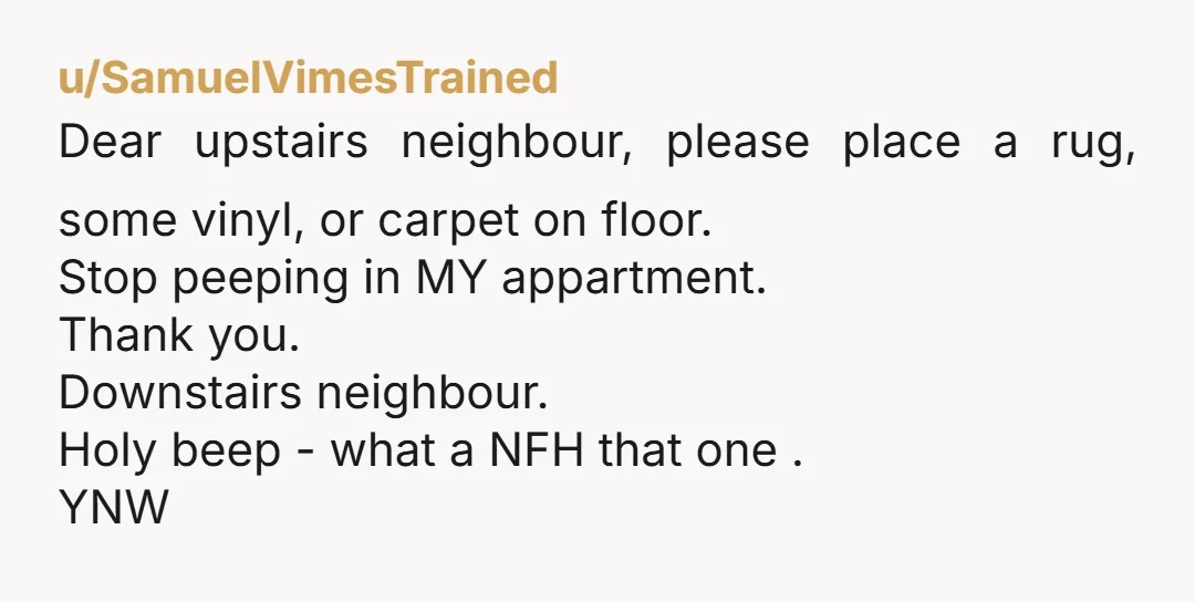 u/SamuelVimesTrained Dear upstairs neighbour, please place a rug, some vinyl, or carpet on floor. Stop peeping in MY appartment. Thank you. Downstairs neighbour. Holy beep - what a NFH that...
