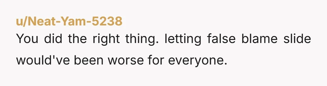 u/Neat-Yam-5238 You did the right thing. letting false blame slide would've been worse for everyone.
