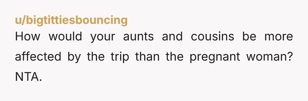 u/bigtittiesbouncing
How would your aunts and cousins be more affected by the trip than the pregnant woman? NTA.
