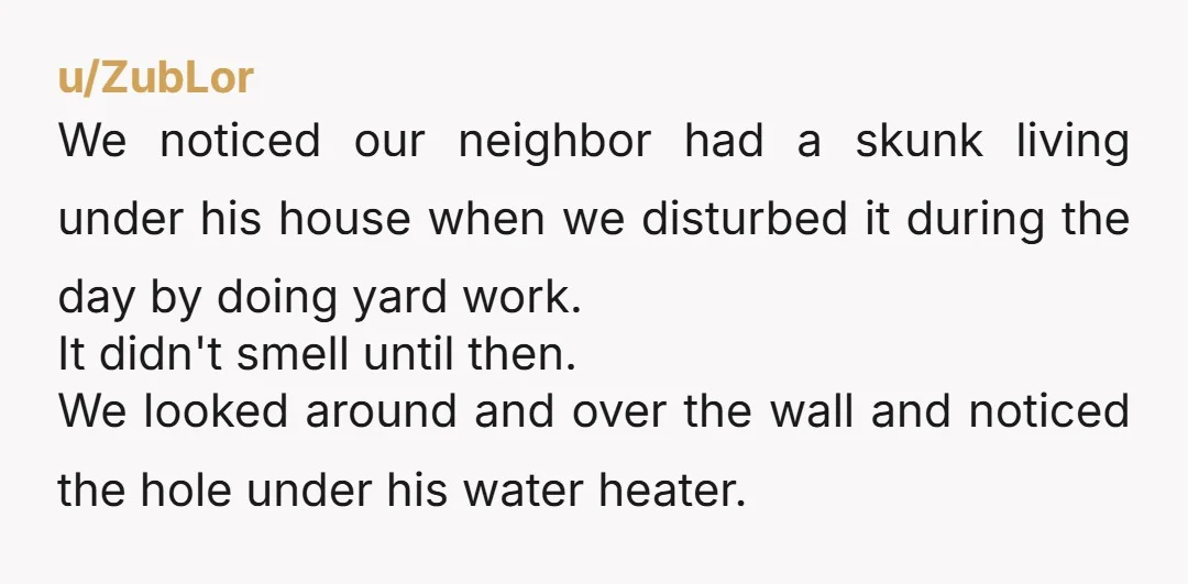 u/ZubLor We noticed our neighbor had a skunk living under his house when we disturbed it during the day by doing yard work. It didn't smell until then. We looked...
