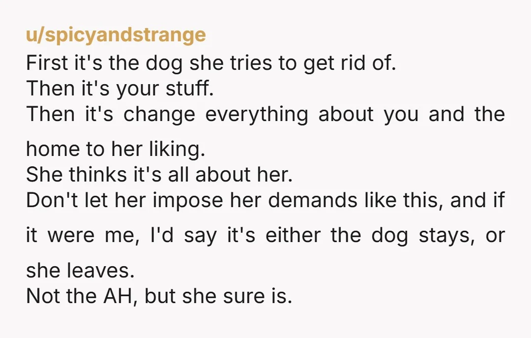 u/Beautiful_Arm8364 NTA. She's not interested in solutions. For whatever reason, she wants your gone. I suspect this dander issue is an invented problem, given that she's literally slept with the...
