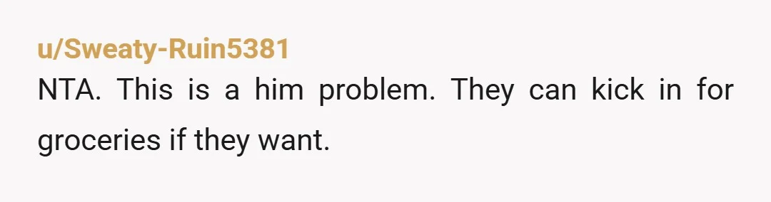 u/Sweaty-Ruin5381
NTA. This is a him problem.  They can kick in for groceries if they want.
