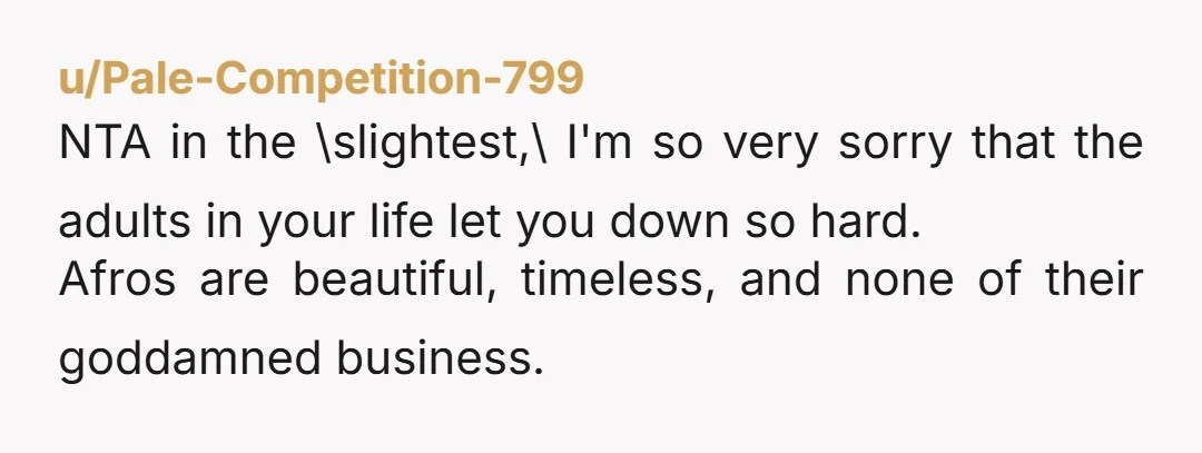 u/Pale-Competition-799
NTA in the \slightest,\ I'm so very sorry that the adults in your life let you down so hard.
Afros are beautiful, timeless, and none of their goddamned business.