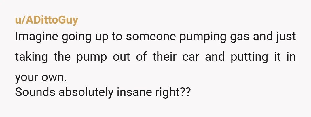 u/ADittoGuy
Imagine going up to someone pumping gas and just taking the pump out of their car and putting it in your own.
Sounds absolutely insane right??