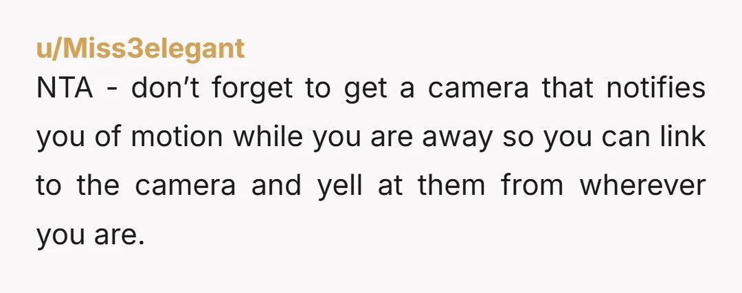 u/Miss3elegant NTA - don’t forget to get a camera that notifies you of motion while you are away so you can link to the camera and yell at them from...