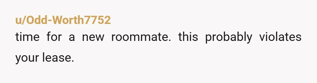 u/Fit_Squirrel_4604 NTA. If he's there 20 days a month, he should be paying his share.  Tell your roommate if it continues, the bills will be split between the 3 of...