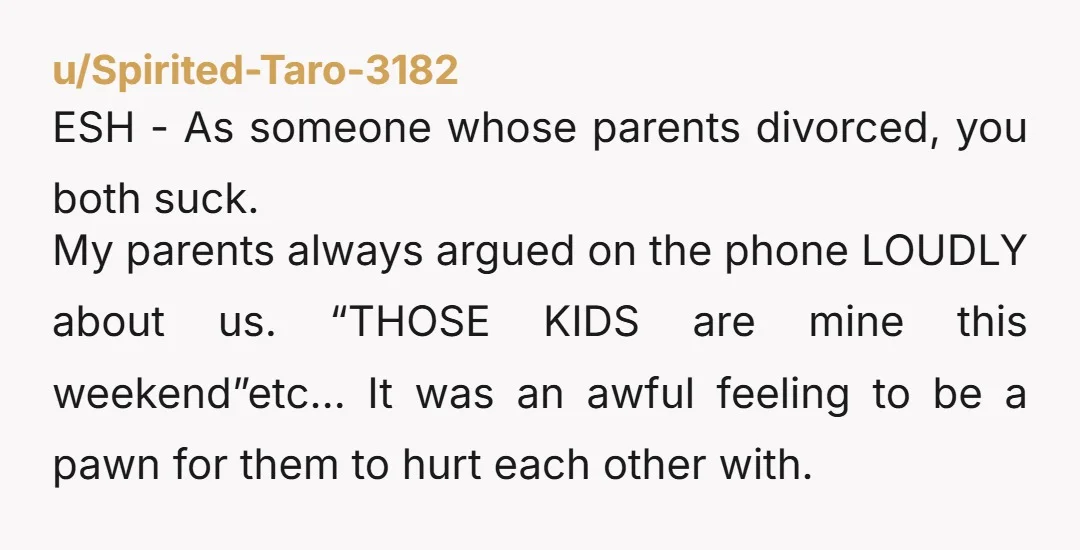 u/RedHolly It actually sounds like you ARE weaponizing the kids. Of course she seems to be doing the same. Do neither of you actually WANT to be a parent?