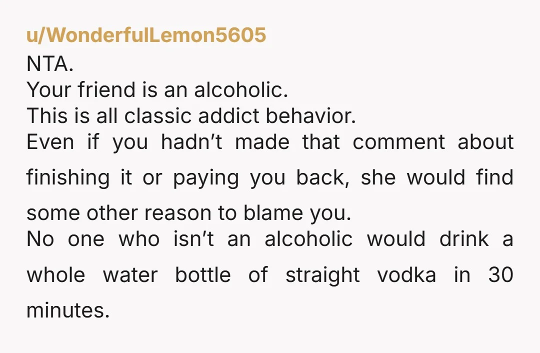 u/LawyerDad1981 Your friend is a drunk. And you are not her mommy. NTA.