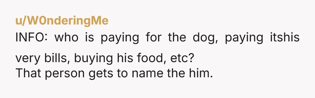 u/keevathemuffin
NAH Dogs can have nicknames.  Just let your parents pick a name that kind of sounds like Nugget